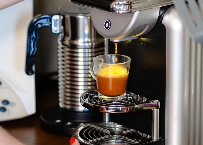 Quinta Do Socalco 4* Caminha